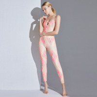 Yoga clothes printed Fitness Sports suit Female YH-WS002