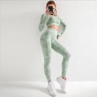 Seamless Yoga Wear Set Two-piece YH-CW032-003