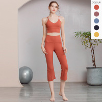 Two Piece Set Women Yoga Set YH-YS001