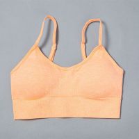 Seamless Women Yoga Set YH-RX001-013